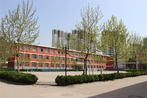 石家莊學(xué)護理為什么都選擇石家莊護理學(xué)校？