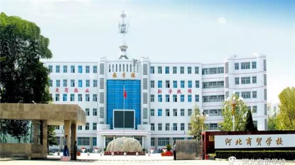 河北哪所學校開設(shè)了跨境電子商務專業(yè)？