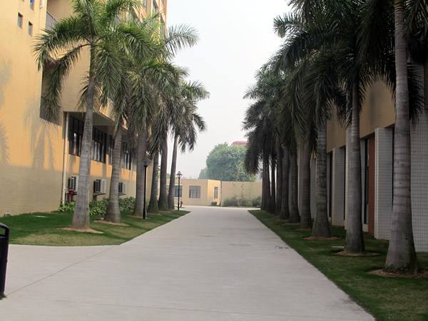 到石家莊鐵路專業(yè)學(xué)校學(xué)習(xí)鐵道運輸管理專業(yè)好嗎？