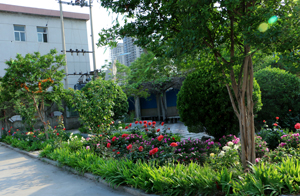 邯鄲理工學(xué)校怎么樣？學(xué)校都有什么專業(yè)？