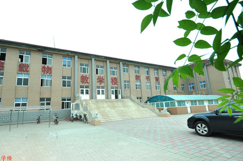 滄州國(guó)興職業(yè)技術(shù)學(xué)校開設(shè)了哪些專業(yè)？