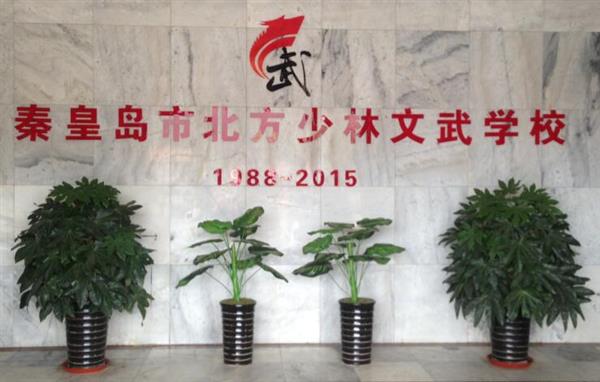 秦皇島北方少林文武學(xué)校就業(yè)如何？這答案你放心！