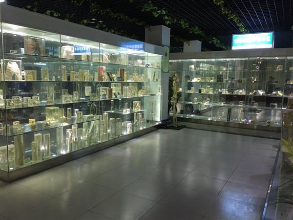 山東人民學(xué)院有沒有就業(yè)保障？