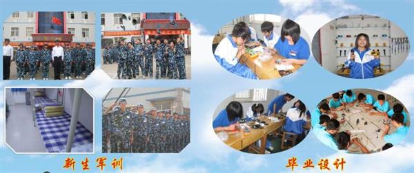 青島海信中心聯(lián)校收費標(biāo)準(zhǔn)是什么？