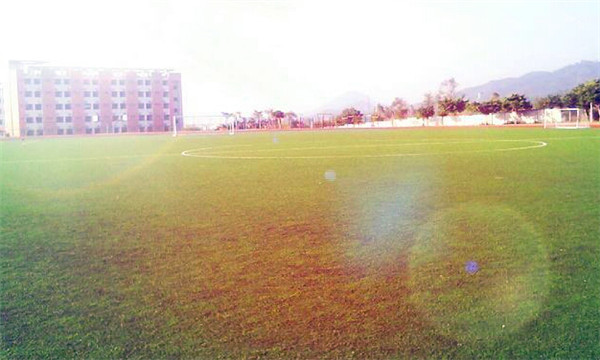 泰山護(hù)理職業(yè)學(xué)院怎么樣？