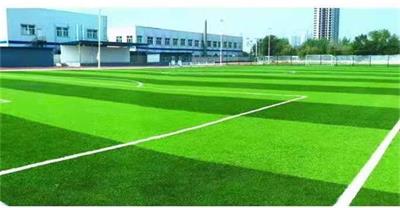 醫(yī)學(xué)影像技術(shù)專(zhuān)業(yè)去哪里學(xué)習(xí)？   