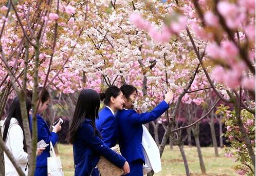 武漢東湖學(xué)院自考本科專業(yè)有哪些？