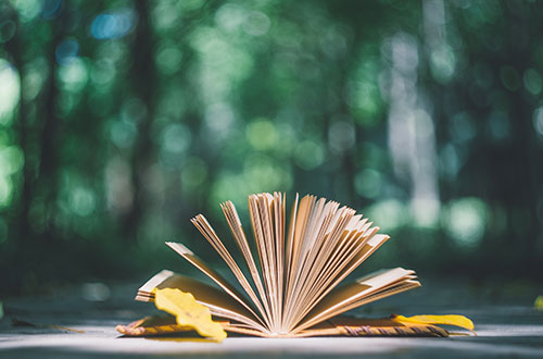 臨沂能源學(xué)校怎么樣？學(xué)校的就業(yè)情況怎么樣？