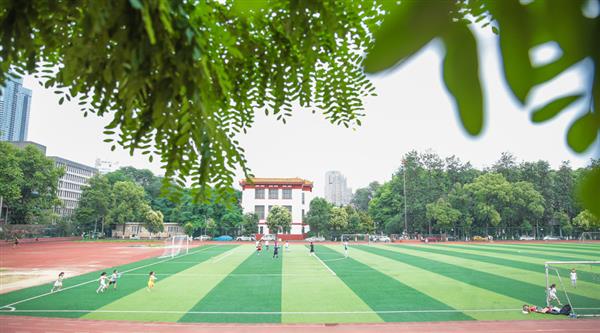 為什么選擇青島滿天星職業(yè)培訓(xùn)學(xué)校？