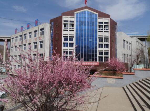 承德通達(dá)中等專業(yè)學(xué)校國際商務(wù)專業(yè)是留學(xué)專業(yè)嗎？