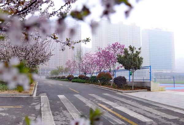 河北大學新世紀函授站成人高考輔導班怎么樣？