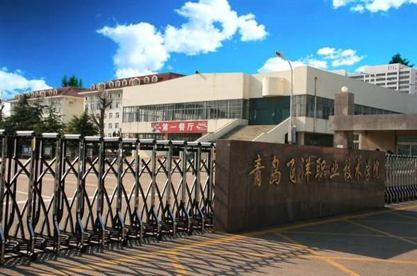 青島飛洋職業(yè)技術(shù)學(xué)院物流管理專業(yè)好嗎？