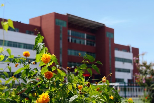 通過單招考取大學有哪些優(yōu)勢？