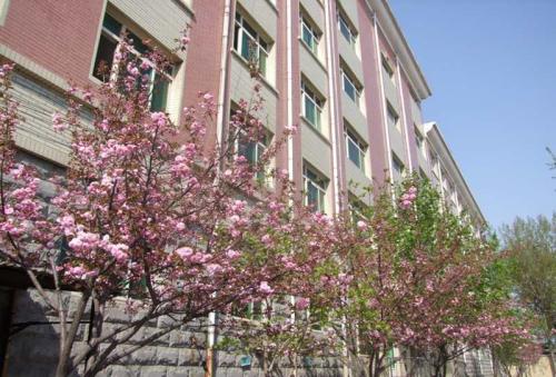 保定學(xué)汽修選擇保定新興工業(yè)技工學(xué)校怎么樣？