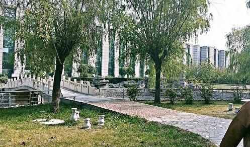 保定那個(gè)學(xué)?？梢詫W(xué)到專(zhuān)業(yè)汽修技術(shù)？