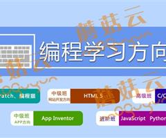 孩子為什么要盡早學(xué)習(xí)少兒編程。濟(jì)寧蘑菇云少兒編程