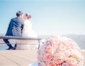 特色專(zhuān)業(yè)