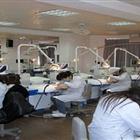 口腔醫(yī)學(xué)（專、本科）