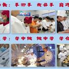 中餐烹飪、西餐烹飪、中西面點