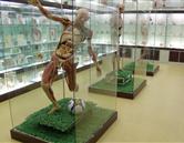 山東煤炭衛(wèi)生學校（濟南校區(qū)）實驗室、宿舍